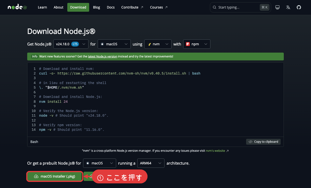 nodejs.orgのダウンロードページ。下部の緑ボタン『macOS Installer (.pkg)』を押す